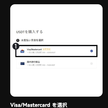 BTCC公式サイトの入金方法の説明。Visa・Mastercardを選び、カード情報と購入数量を入力して購入する流れ