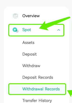 CoinExの出金履歴（Withdrawal Records）画面