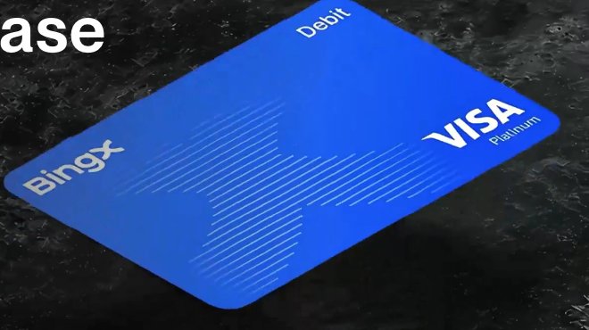 BingXカード（Visaデビット）の券面